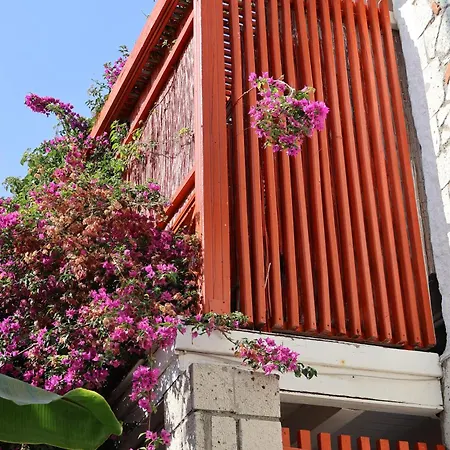 Ala Alacati