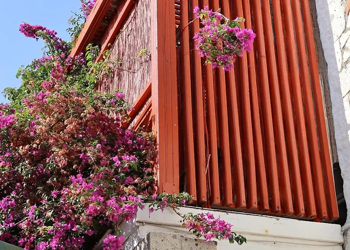 Ala Alacati